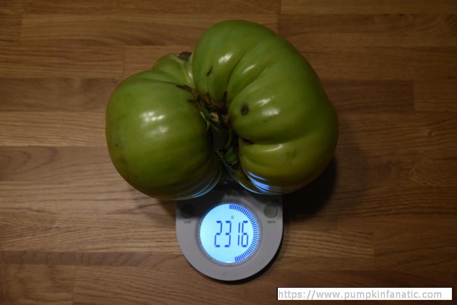 5.78 Vander Wielen Tomato Seeds