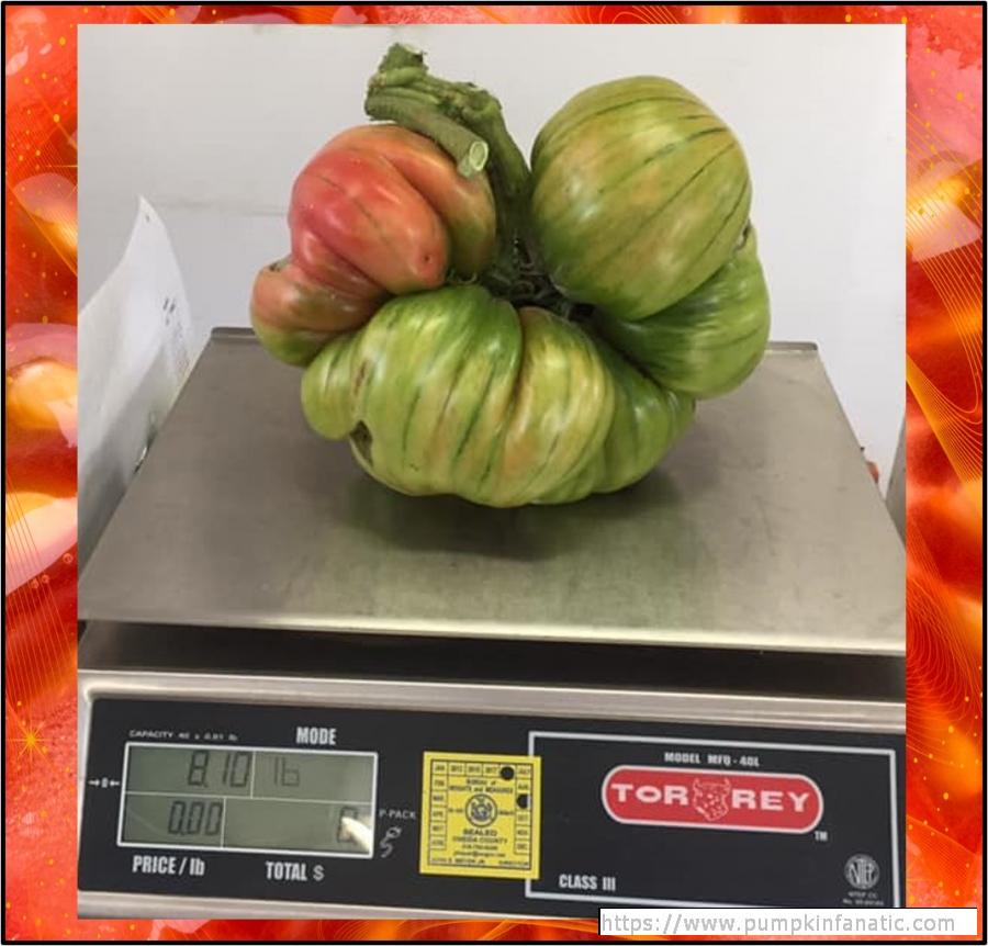 5.78 Vander Wielen Tomato Seeds